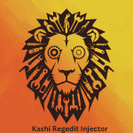 Kashi Regedit Injector