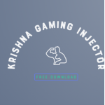 Krishna Gaming Injector