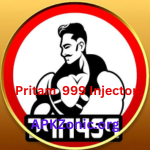 Pritam  999 Injector